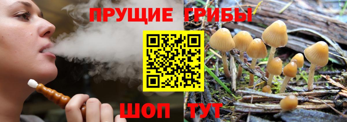 Ачхой-Мартан  Галлюциногенные грибы MAGIC MUSHROOMS  Вход с VPN  Псилоцибиновые грибы мухоморы 